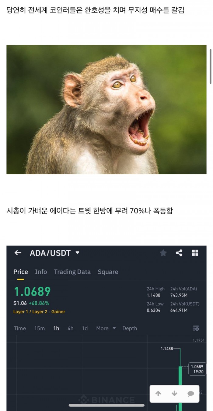 1534a790d0e45ba53b9fca9b85c43567_1740966604_1379.jpeg