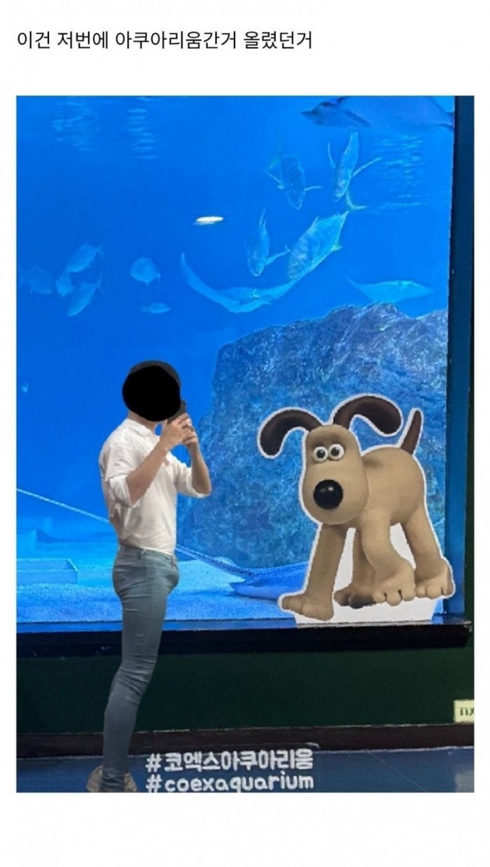 d52c0388300f4715435e13d8316e4dd3_1760336540_9787.jpg