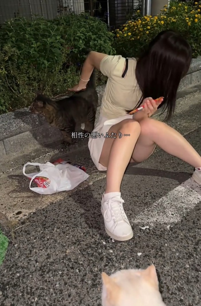 072864801473f7838f304df973bd7ea3_1764927853_1711.jpeg